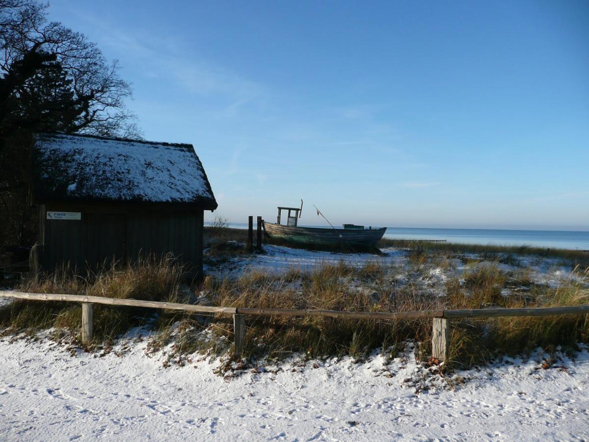 Residenz Am Strand Wohnung 2-36 Цингст Екстериор снимка